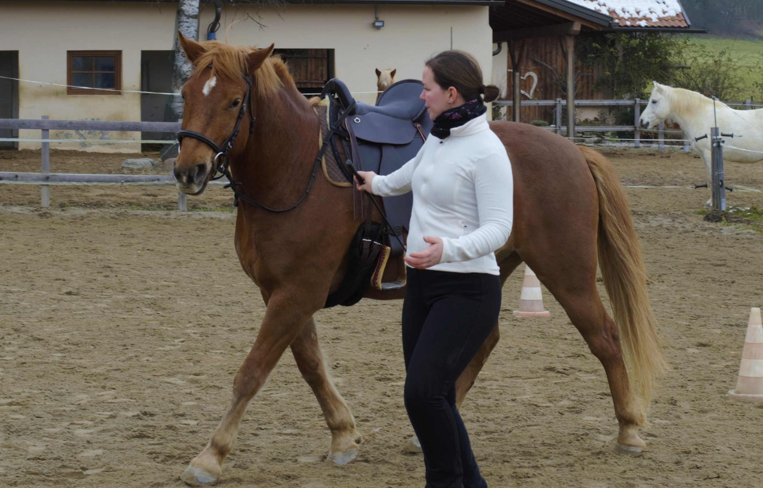 Patricia Herzog mit Pferd